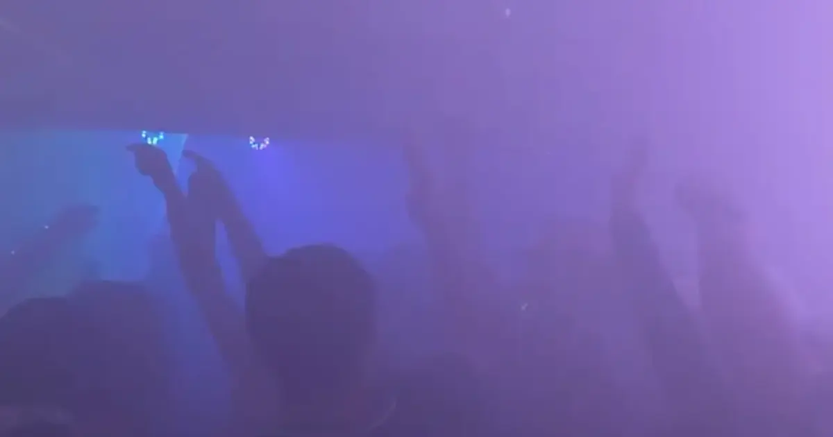 DJs at Single's Bar: How to Check the Current Lineup