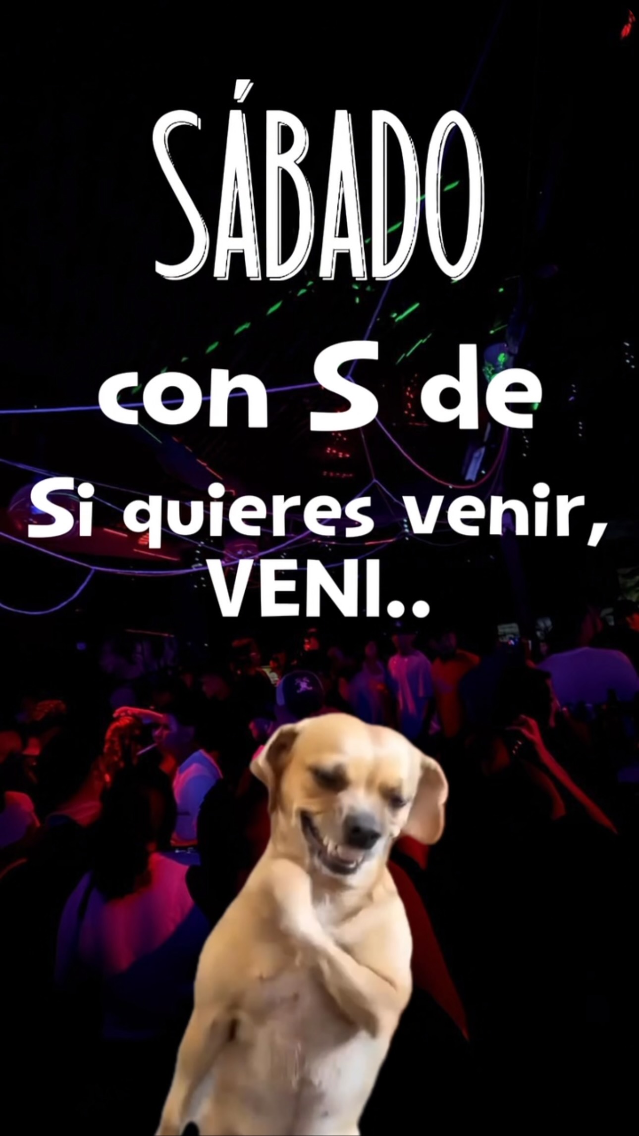 Si queres venir, VENI🔥

#singlesbar